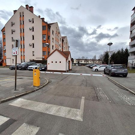 Apartma Golob Марібор Екстер'єр фото